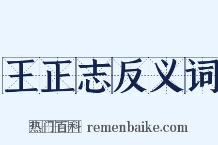 王正志反义词是什么意思的图片